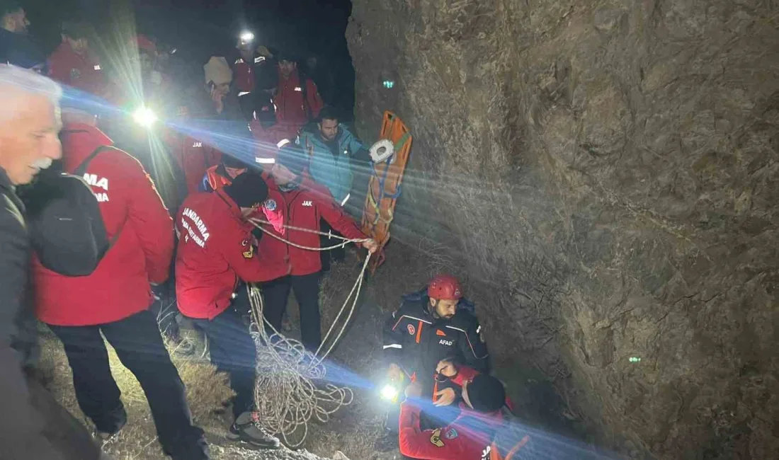 HAKKARİ'DE ARILARINA BAKMAYA GİDERKEN