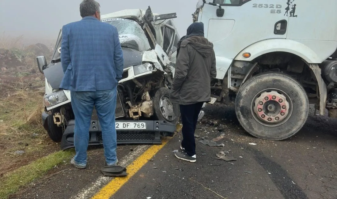 DİYARBAKIR’IN ÇINAR İLÇESİNDE MEYDANA