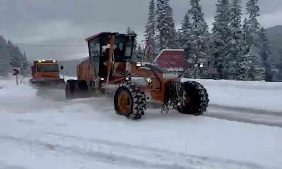 KASTAMONU-ÇANKIRI SINIRINDAKİ ILGAZ DAĞI'NDA