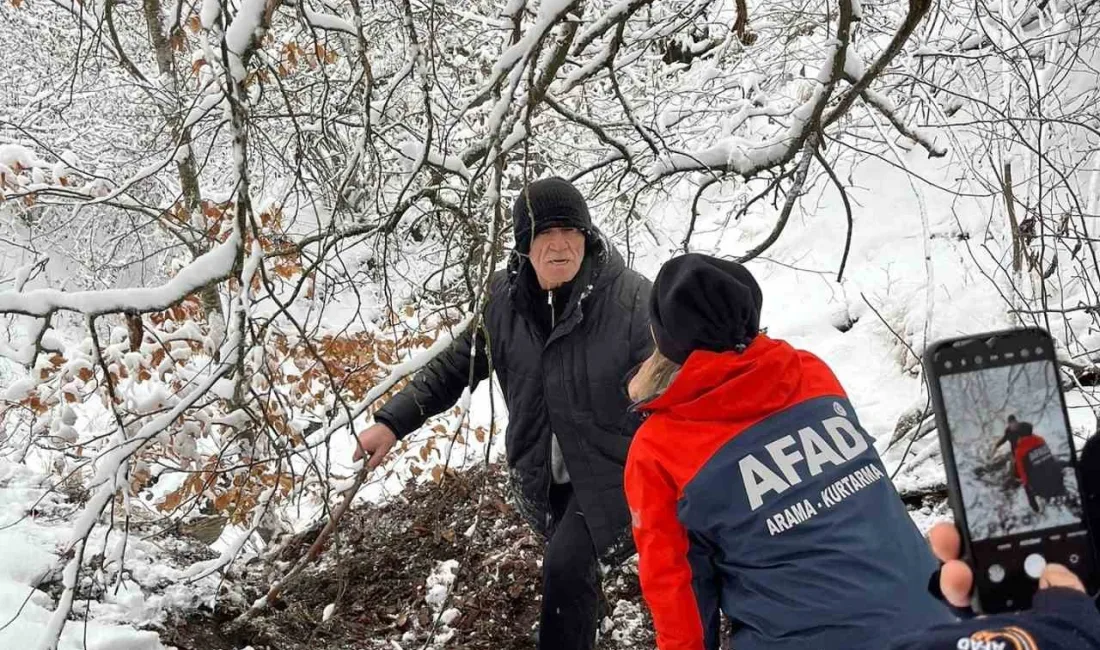 KAYIP YAŞLI ADAM ORMANLIK