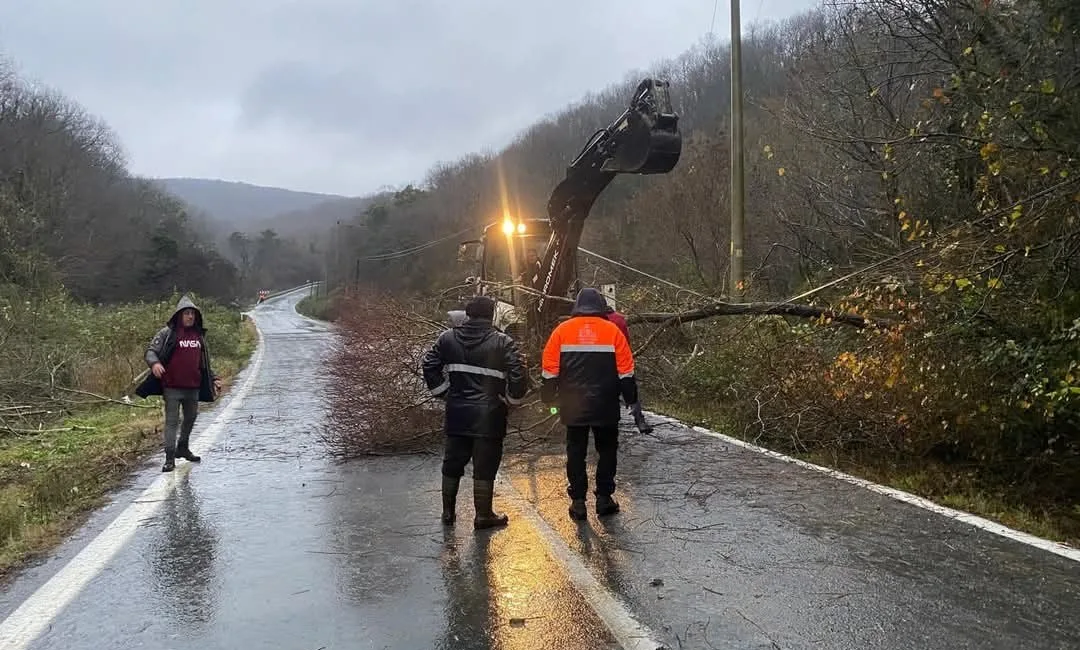 KIRKLARELİ'NDE RÜZGARDAN KOPAN ELEKTRİK