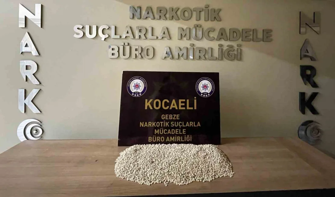 KOCAELİ'NİN ÇAYIROVA İLÇESİNDE BİR