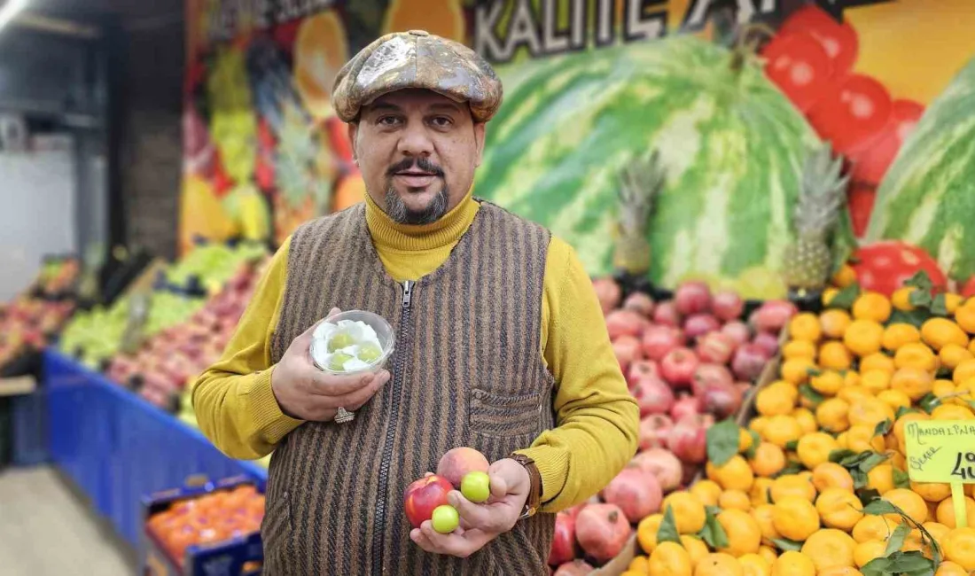 KAYSERİ'DE ÖZELLİKLE AŞEREN HAMİLELERİN ARADIĞI YAZ MEYVESİ ERİK HAMİLELER İÇİN