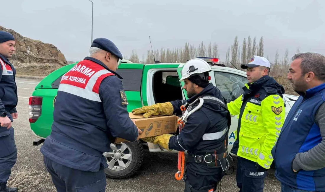 MUŞ’UN VARTO İLÇESİNDE ELEKTRİK