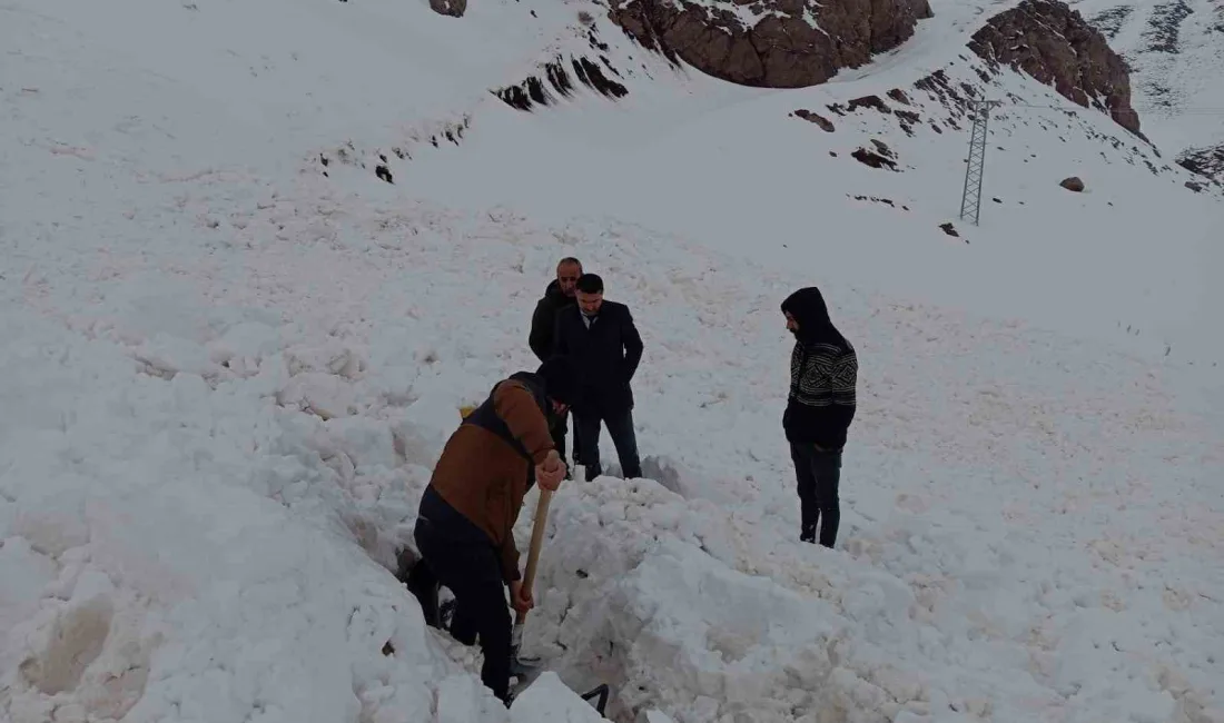 ŞIRNAK'IN BEYTÜŞŞEBAP İLÇESİNDE KEPÇESİYLE