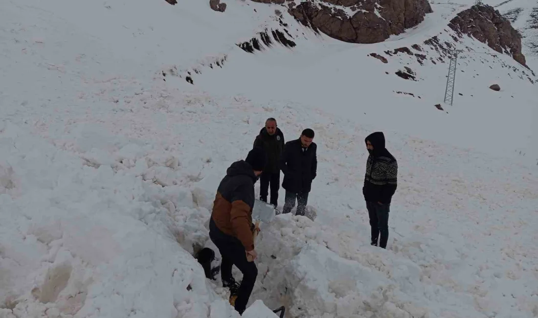 ŞIRNAK’TA ÇIĞ DÜŞTÜ. KEPÇE