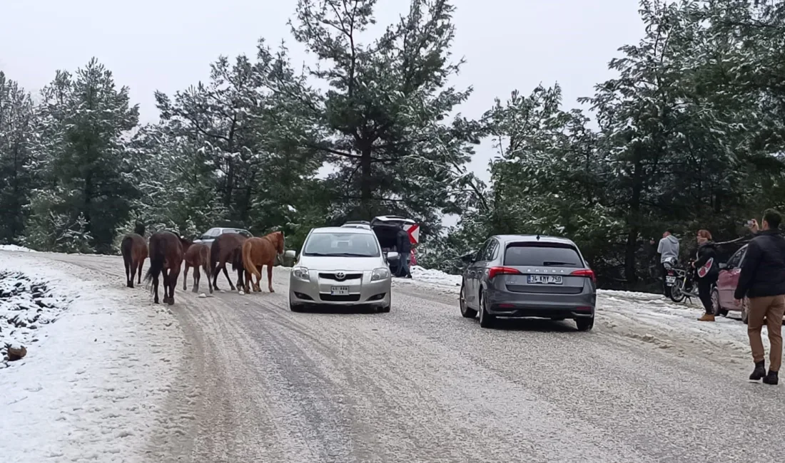 MANİSA'NIN ETEKLERİNE KURULDUĞU, MANİSA