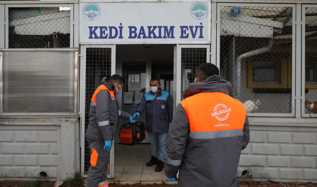 TAM DONANIMLI HAYVAN AMBULANSIYLA YARDIMA MUHTAÇ VE YARALANAN SOKAK HAYVANLARININ