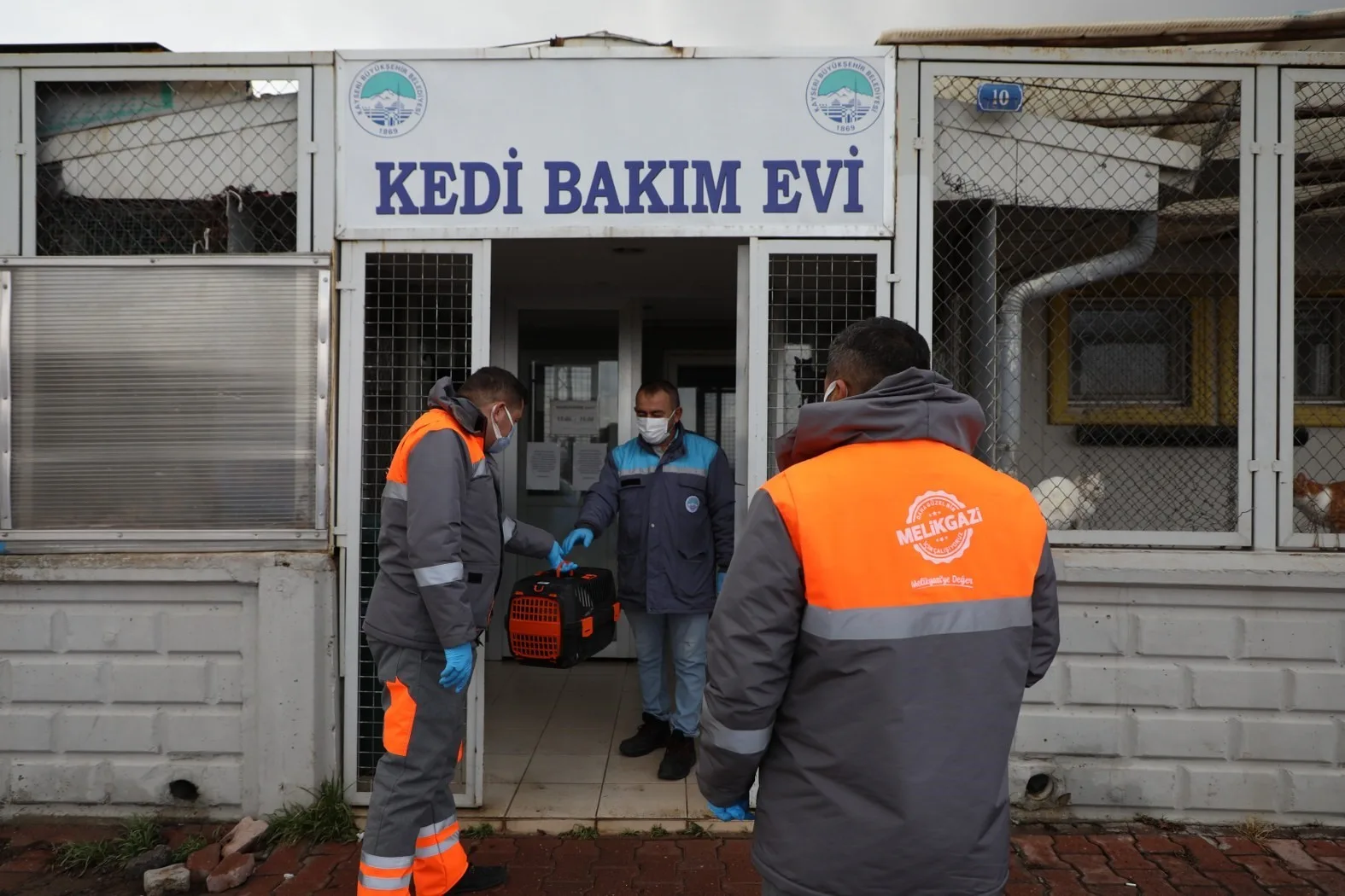 TAM DONANIMLI HAYVAN AMBULANSIYLA YARDIMA MUHTAÇ VE YARALANAN SOKAK HAYVANLARININ