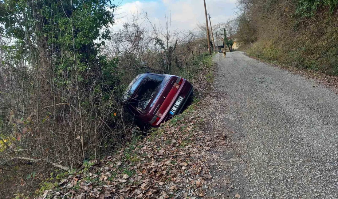 BARTIN'DA YOLDAN ÇIKAN ARACIN