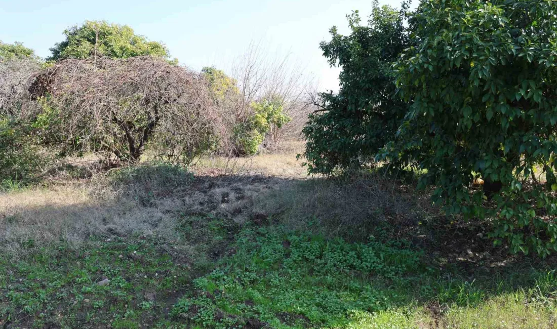 Adana’da 2 çocuk annesi 23 yaşındaki genç kadın, erkek arkadaşı