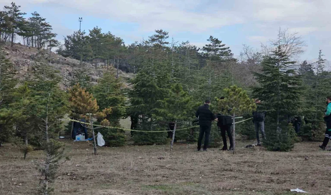 KAYSERİ'DE 5 GÜNDÜR HABER ALINAMAYAN ŞAHSIN CANSIZ BEDENİ, AĞAÇLIK ALANDA