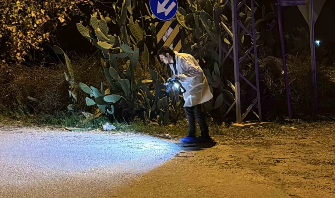 Adana’da iki kardeş, çıkan silahlı kavgada tabanca ile vurularak öldürüldü.