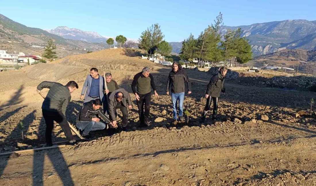 Mersin’in Anamur ilçesinde bulunan Karalarbahşiş Mahallesi Mezarlığı’nda ağaçlandırma çalışması gerçekleştirildi,