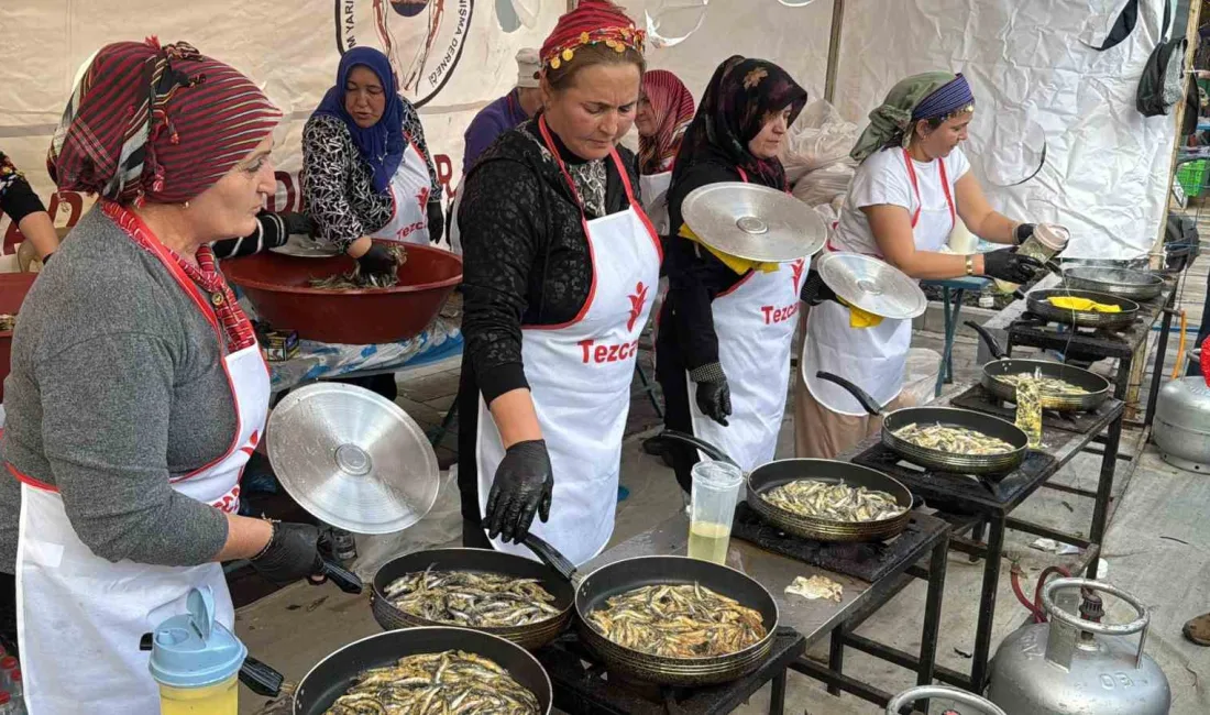 Bodrum İskele Meydanı’nda düzenlenen 9. Hamsi Festivali, hem lezzet hem