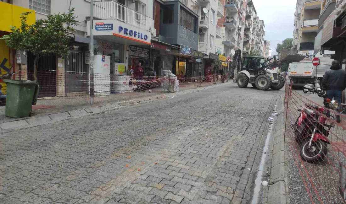 Bölge sakinlerinin talebi üzerine harekete geçen Aydın Büyükşehir Belediyesi, Efeler