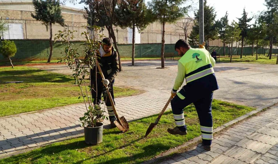 Gaziantep’te Burak Mahallesi’nde yaşayan bölge sakinlerinin korkulu rüyası haline gelen