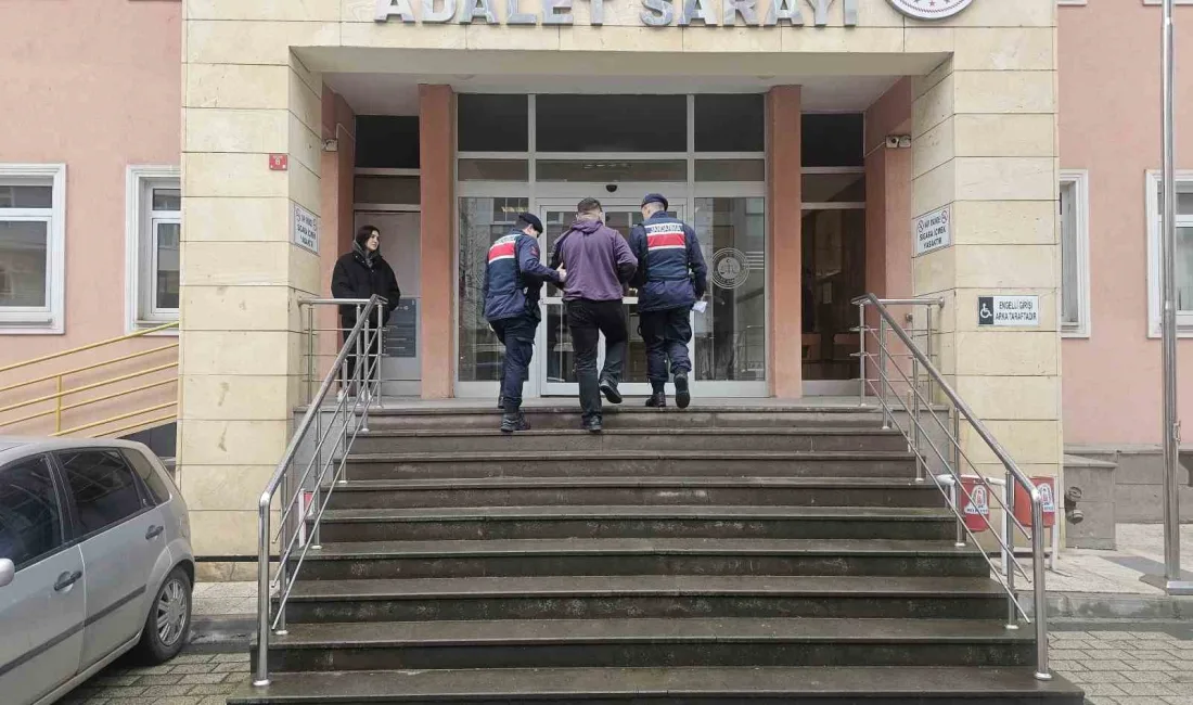 Çanakkale’nin Çan ilçesinde 1 kişinin öldüğü kazada sürücü, yurt dışı