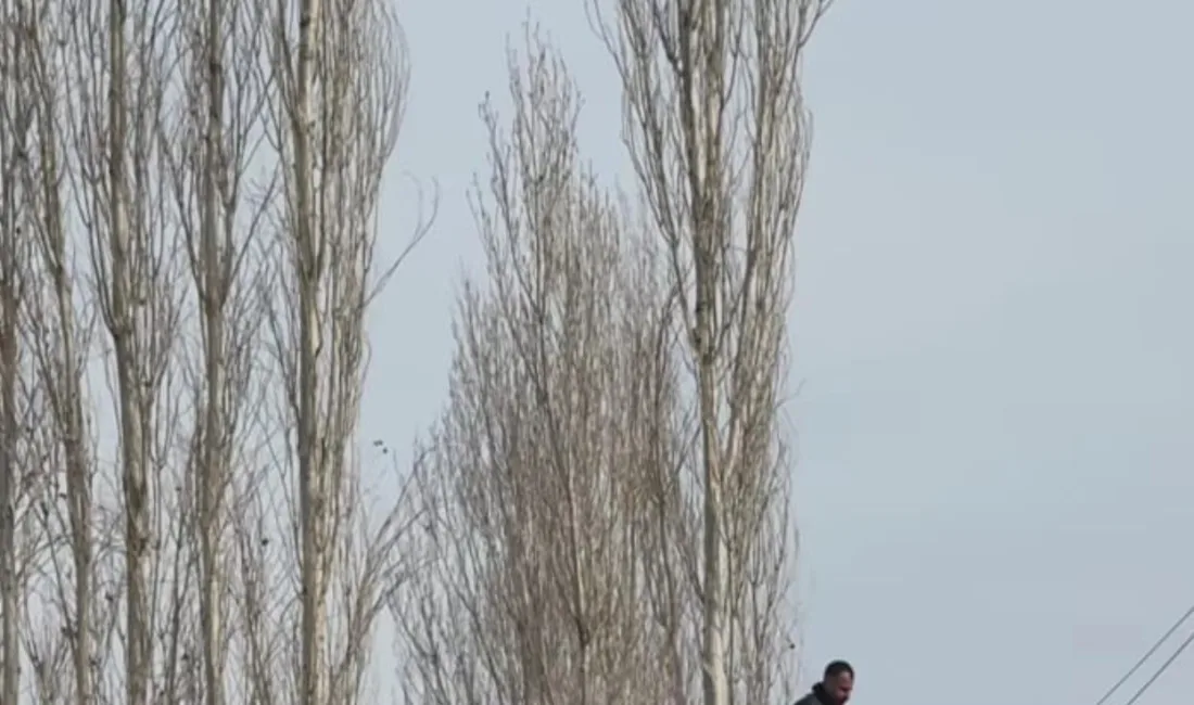 Iğdır’da bir düğünde uçurduğu dronu ağaçlara takılan kişi, uzun uğraşlar