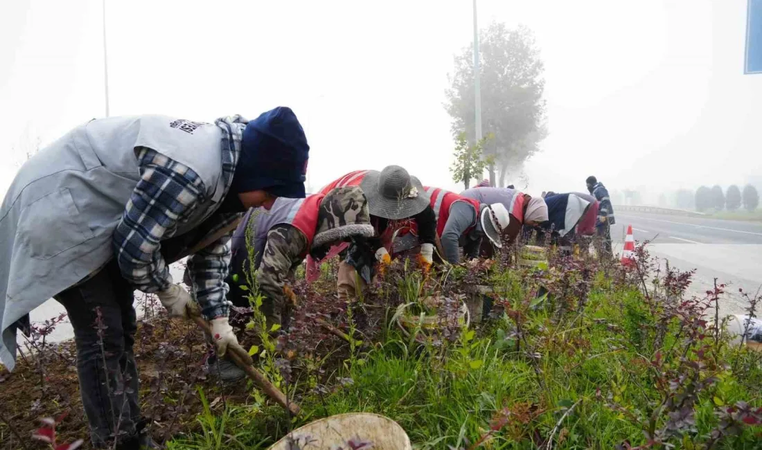 DÜZCE BELEDİYESİ PARK VE BAHÇELER MÜDÜRLÜĞÜ’NÜN ÇALIŞMALARIYLA 2024 YILI BOYUNCA