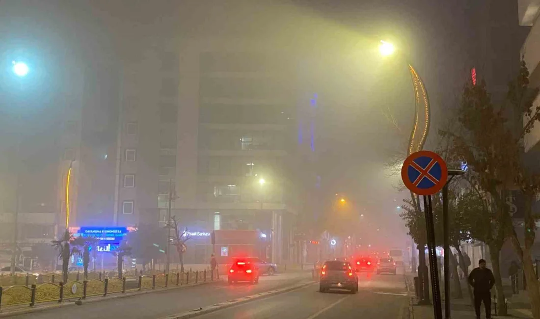 Elazığ’da gece saatlerinde yoğun sis etkili olurken, görüş mesafesi 5