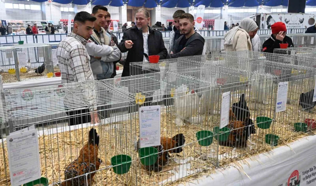 Isparta Belediyesi’nin katkılarıyla Türkiye Süs Tavukları ve Bahçe Hayvanları Federasyonu