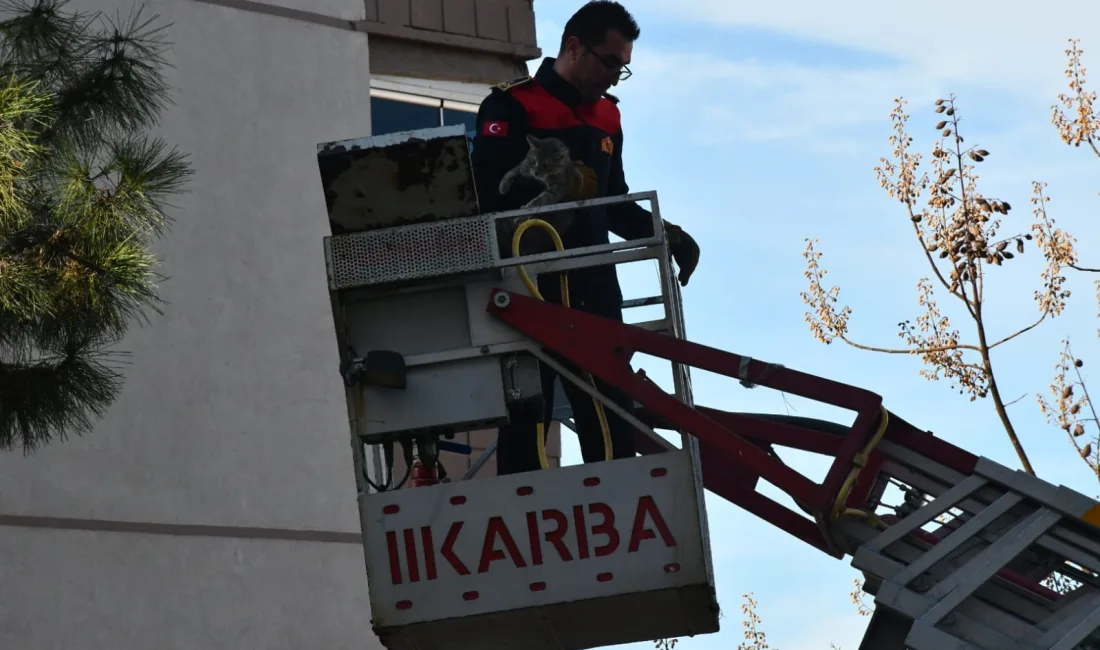 Zonguldak’ın Alaplı ilçesinde, 3 gündür bir ağacın üzerinde mahsur kalan