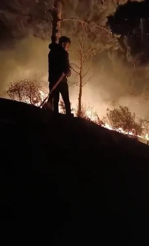 HATAY’IN ARSUZ İLÇESİNDE ÇIKAN ORMAN YANGINI İTFAİYE EKİPLERİ TARAFINDAN SÖNDÜRÜLDÜ.