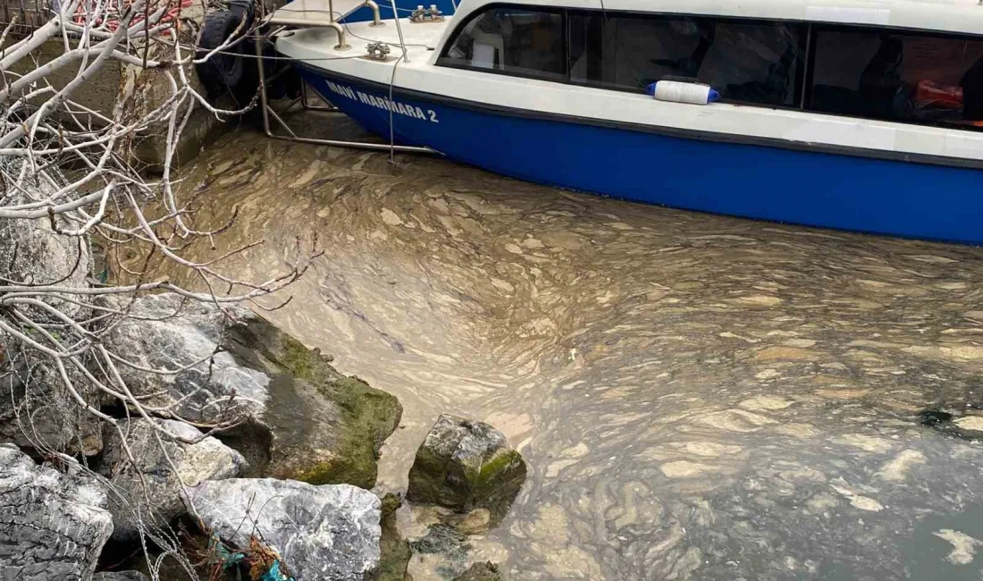 Marmara Denizi’nde yeniden etkisini göstermeye başlayan müsilaj, Kadıköy’de de görüldü.