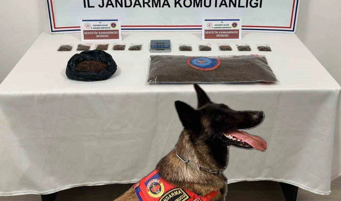 Kastamonu’nun Tosya ilçesinde jandarma ekipleri tarafından 2 kilogram sentetik kannabinoid