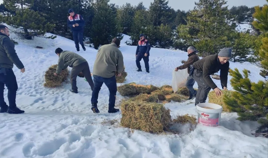 Balıkesir’in dağlarındaki yaban hayvanları için jandarma ekiplerince yemleme yapıldı. İl