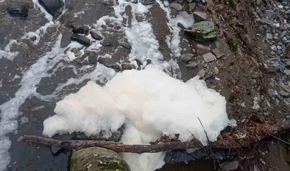 Balıkesir’in Manyas ilçesine 5 kilometre uzaklıktaki Ketenlik Deresi, bir kez