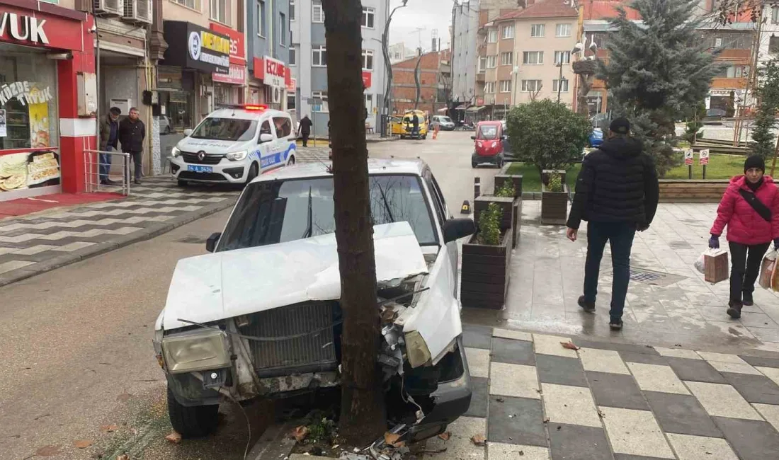 Bolu’da önüne çıkan köpeğe çarpmamak için manevra yapan otomobil, ağaca