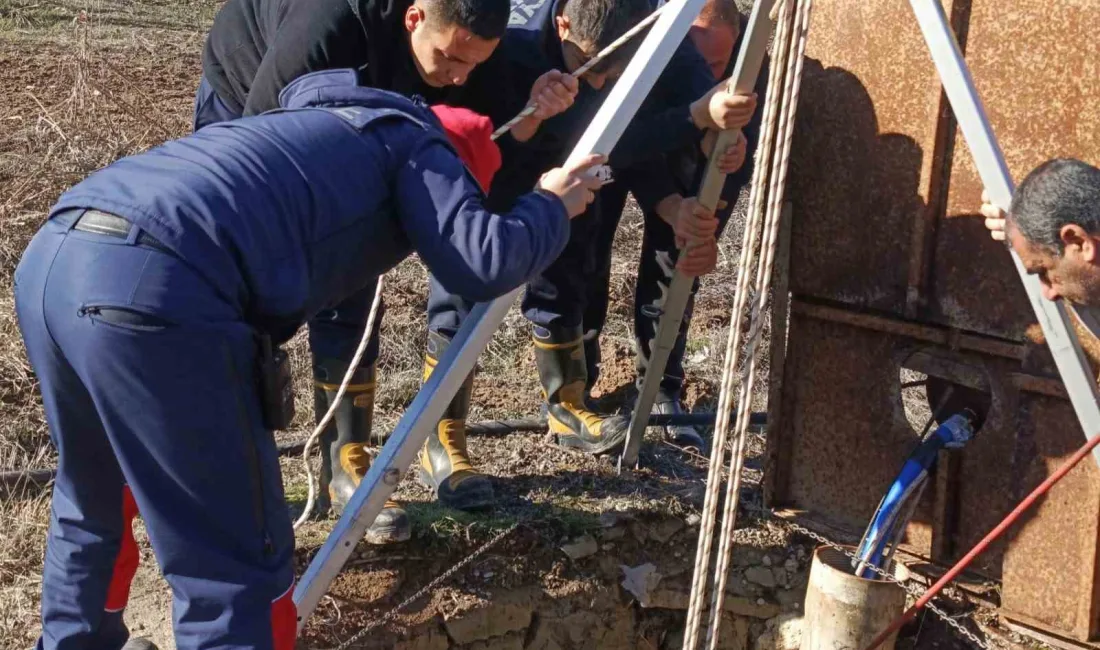 MALATYA'DA SU KUYUSUNA DÜŞEN YAVRU KÖPEK İTFAİYE TARAFINDAN KURTARILDI.