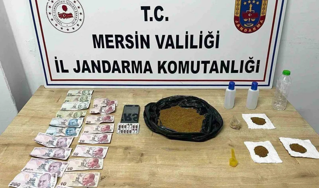 Mersin’in Gülnar ve Mut ilçelerinde uyuşturucu madde satan 2 kişi,