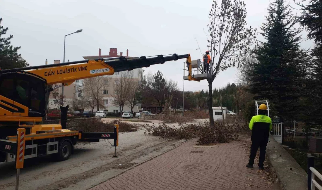 Odunpazarı Belediyesi Park ve Bahçeler Müdürlüğü ekipleri, ilçe genelinde bulunan