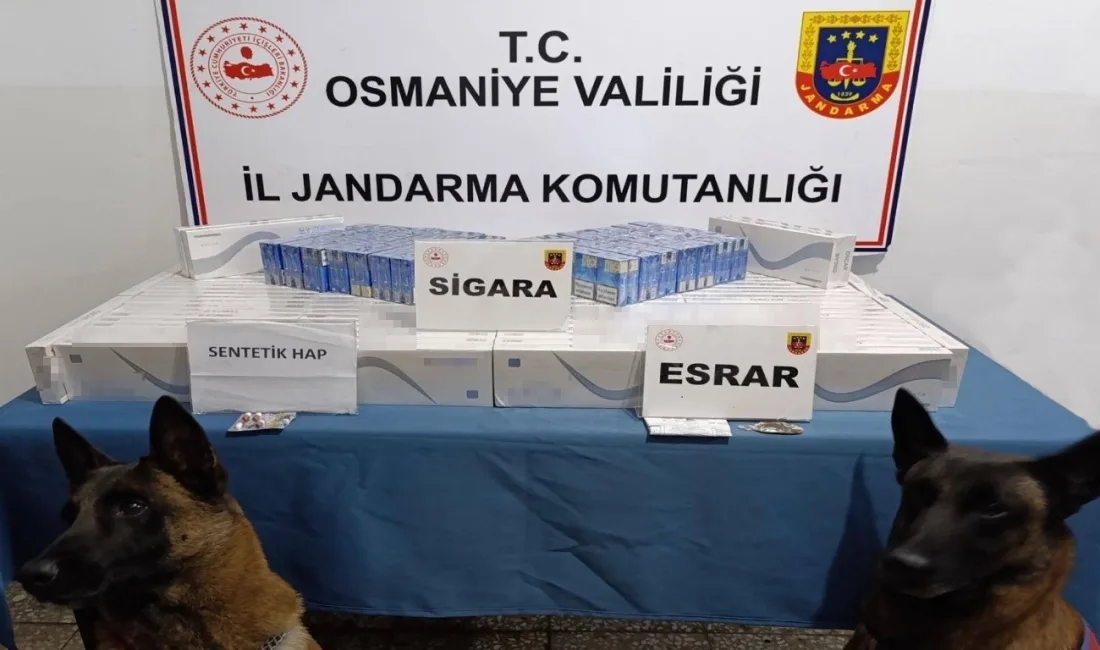 Osmaniye’de jandarmanın son bir haftada düzenlediği operasyonlarda 107 şüpheli gözaltına