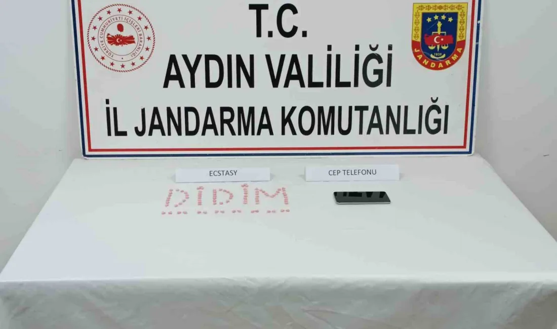 Aydın’ın Didim ilçesinde jandarma ekipleri tarafından gerçekleştirilen operasyonda 2 şüphelinin