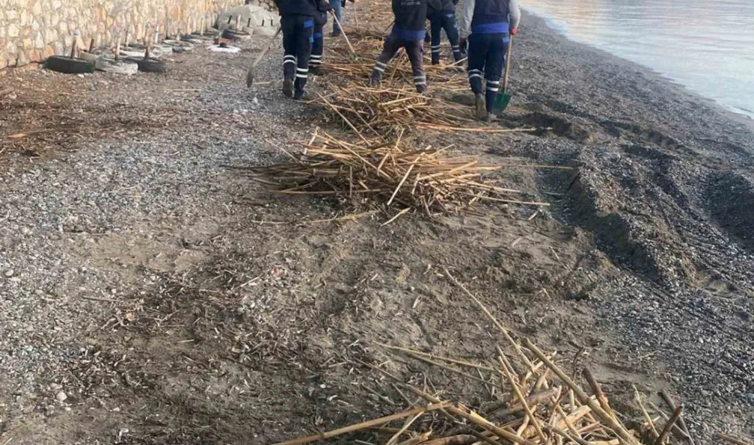 Yunanistan’ın Rodos adasında Aralık oyu sonunda yaşanan sel felaketinin ardından,