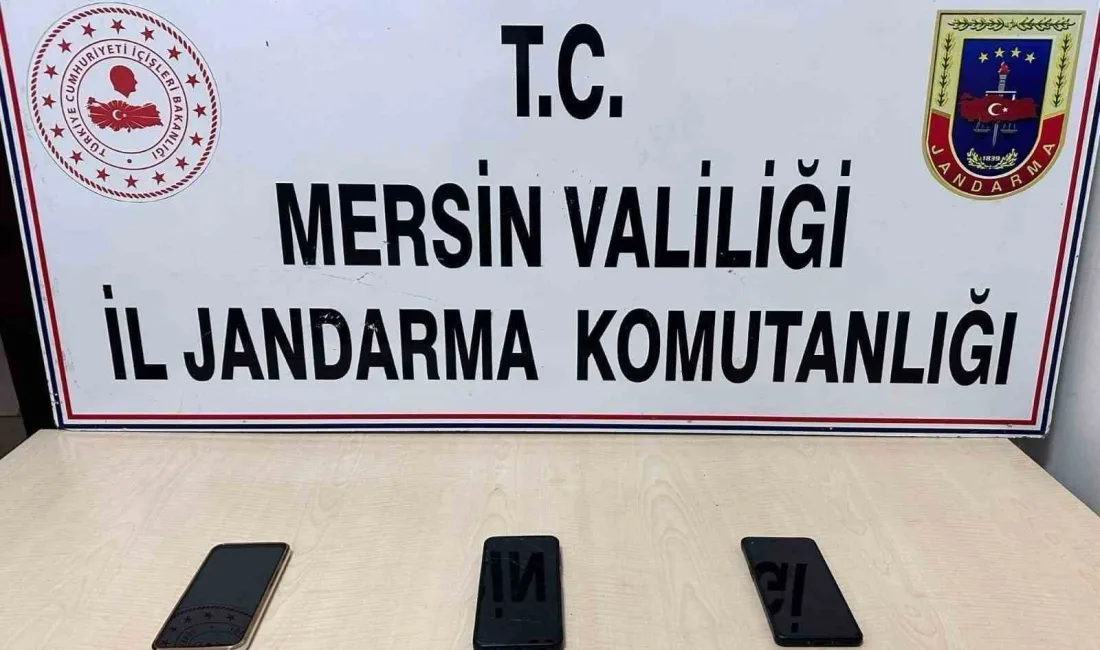 Mersin’de, sosyal medya üzerinden sahte ilanlar vererek vatandaşları dolandırdığı iddiasıyla