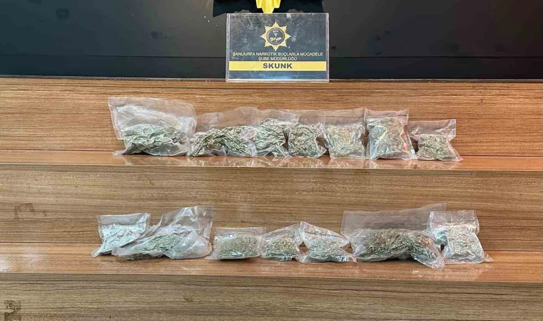 Şanlıurfa’da gerçekleştirilen uyuşturucu operasyonunda 2 kilo 450 gram skunk ele