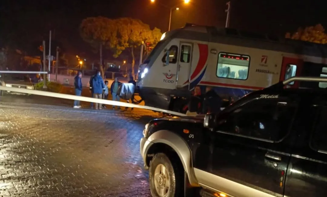 Aydın’ın Söke ilçesinde, yolcu treni tren yolunun kenarına park eden