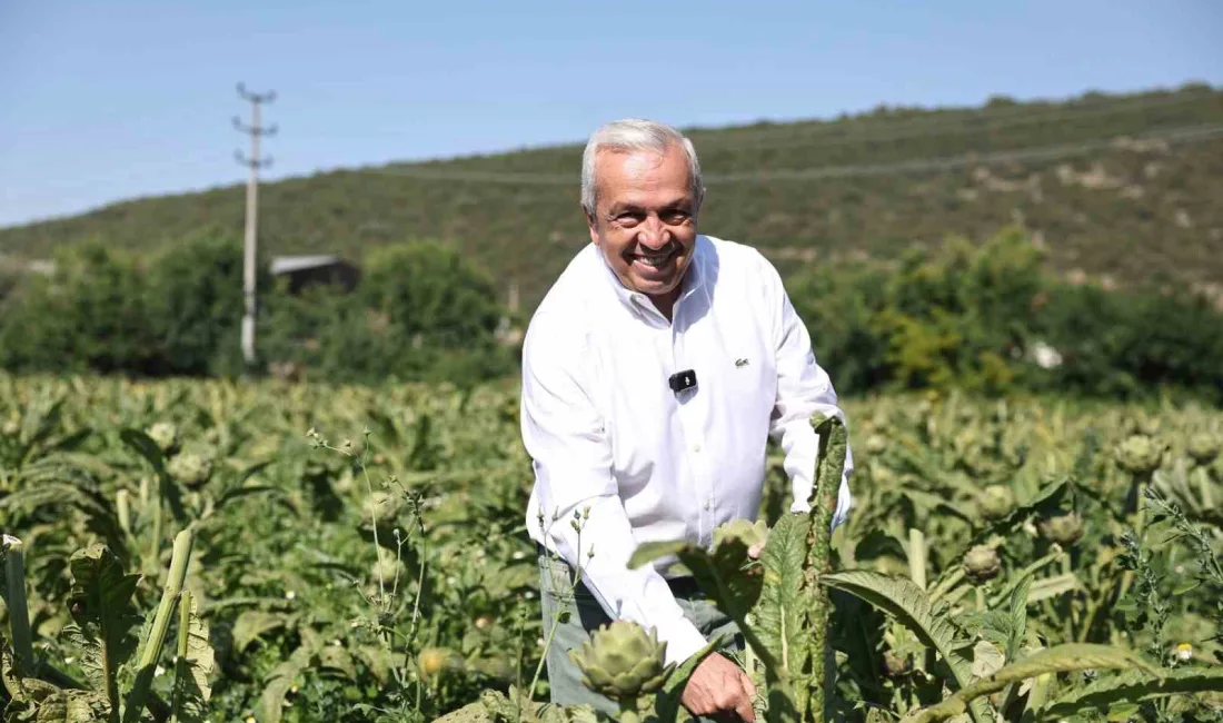 NİLÜFER'DE TARIM TOPRAKLARINI KORUYUP TARIMIN YENİDEN AYAĞA KALKMASI İÇİN KOLLARI