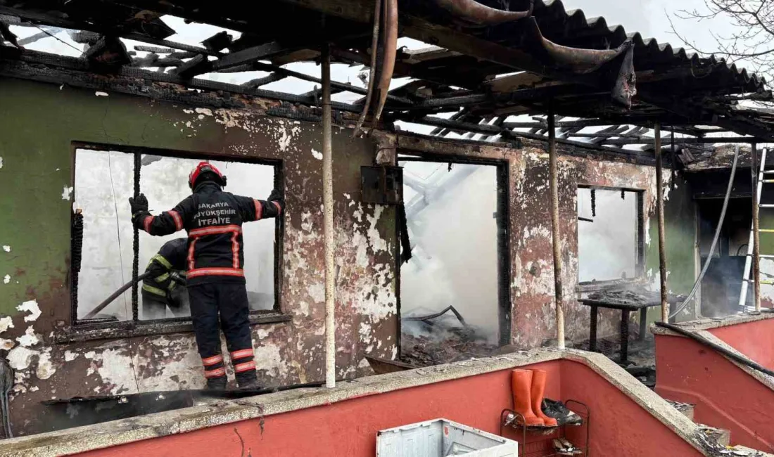 Sakarya’nın Hendek ilçesinde tek katlı evde çıkan yangında evli çift