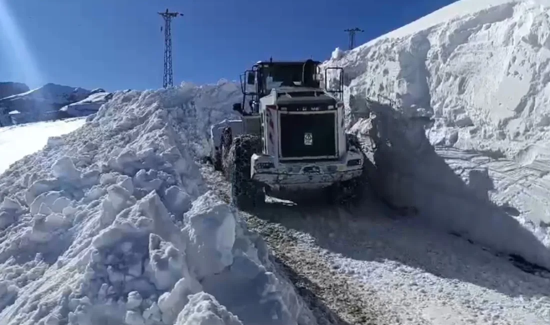 HAKKARİ'NİN YÜKSEKOVA İLÇESİNDE 3 METREYİ AŞAN KARDA YAPILAN ÇALIŞMA SONUCU