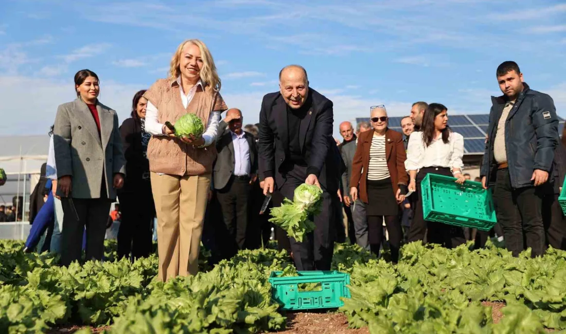 Yüreğir Belediyesi Kırsal Hizmetler Müdürlüğü’nün Yüreğir Devlet Hastanesi yanındaki araziyi